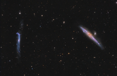 NGC 4631 and NGC 4656 Jean Baptiste Auroux.png