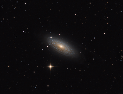 NGC2841_web1.png