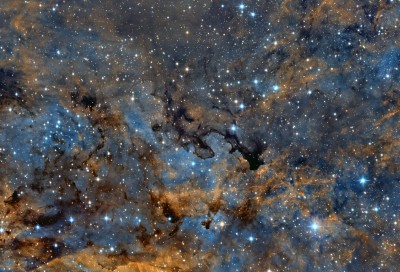 BARNARD_344_AB_web.jpg