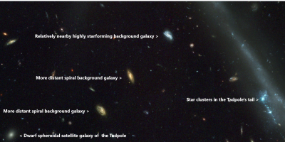 Background and satellite galaxies of the Tadpole galaxy.png