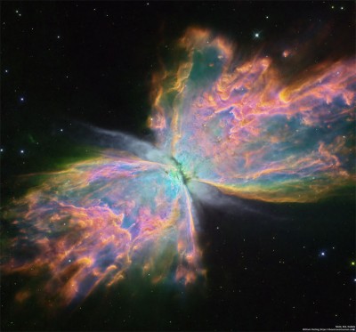 Butterfly_HubbleOstling_960.jpg