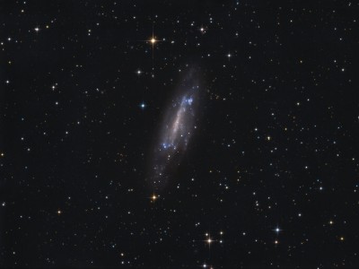 NGC4236.jpg