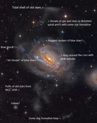 APOD 2 March 2023 NGC 3169 annotated.png