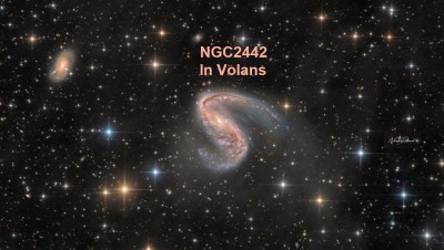 NGC2442-NicolasROLLAND_signatur1024.jpg
