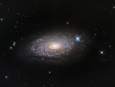 M63.jpg