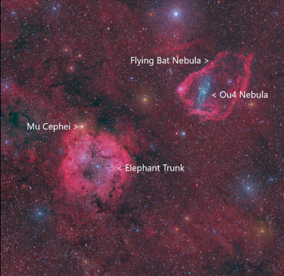 IC 1396  Sh2 129 and Ou4 Steve Cannistra.png