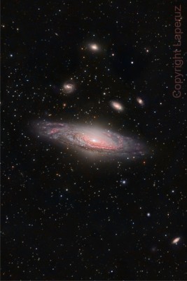 NGC 7331 and Beyond-.JPG