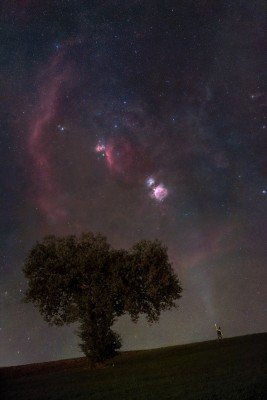 Orion-Lights.jpg