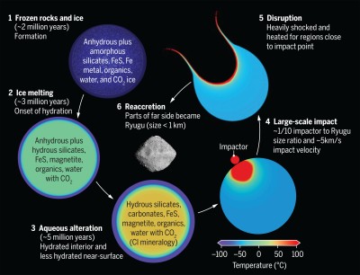 science.abn8671-fa.jpg