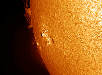 Sunspot Group 1393 going out with a flare and surge prominence!