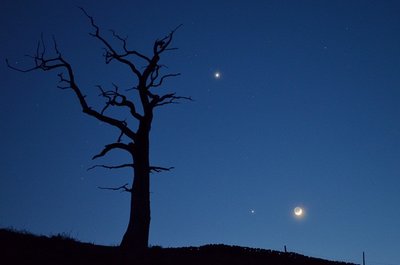 lightning tree hill 700 starstruck 25-03-2012.jpg