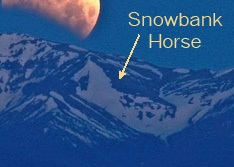 snowhorse.jpg