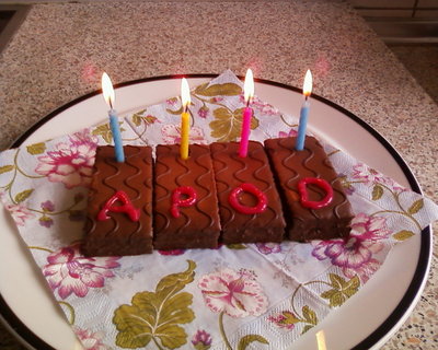 Happy 17th Birthday APOD! A delicious cake decorated by Moonlady