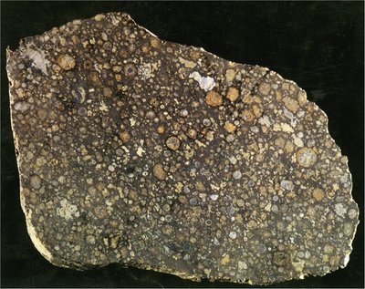 This is a cross-section of a chondritic meteorite. (Credit: NASA)