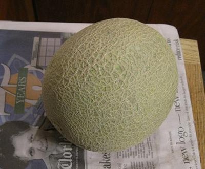 cantaloupes 001.jpg