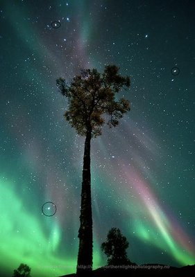 aurora2012sep20.jpg