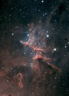 IC1805_bicolor_asterisk.jpg