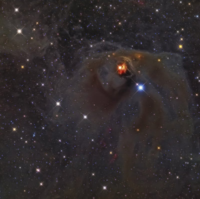 NGC1555 Web Apod.jpg