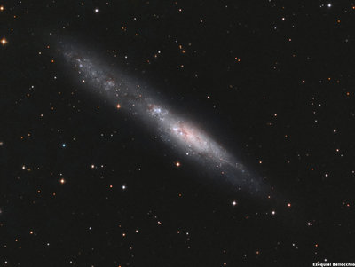 NGC 55 LRGB.jpg