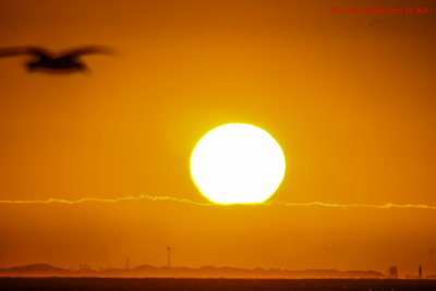 2013-03-21 Cottesloe Beach - Sunset ove Rottnest_res20-200px_lab1.jpg