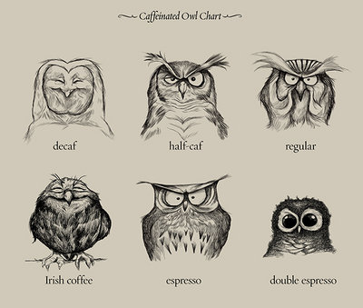 Caffeinated Owl Chart.jpg