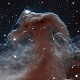 Horsehead of a <br />Different Color