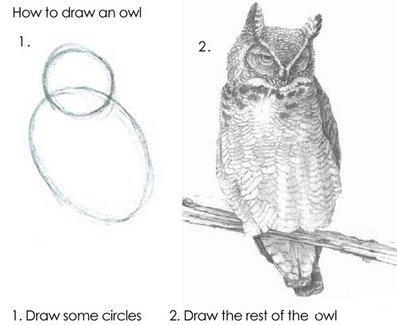 how to draw an owl.JPG