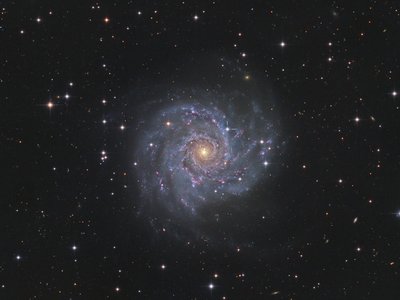 M74-color-In-CCDStack-LRGB-PS1_V4---SN3-for-APOD_small.JPG