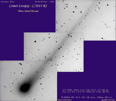 C2013R1_LOVEJOY-112613-L48m-Mosaic-Tail-Neg-EMr.jpg