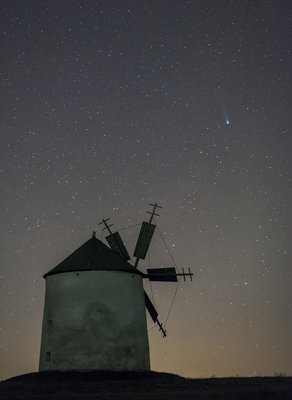 lovejoy_131201_ladanyi_1200px_small.jpg