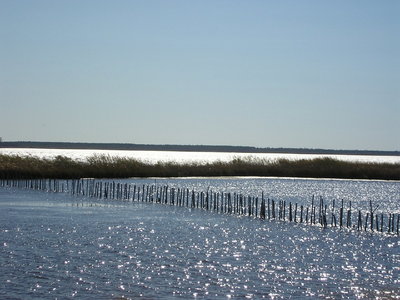 Blackwater National Wildlife Refuge