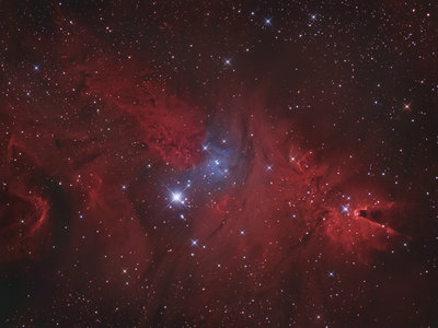 NGC2264_SMALL.jpg