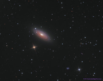 NGC2841_forAPOD_copyright.jpg