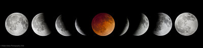 Lunar Eclipse 2014_Medium.jpg