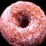 donut-eclipse-2010.jpg