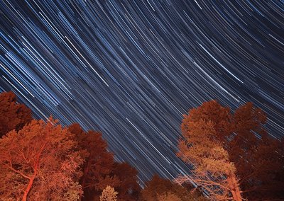 Star-Trails-1_small.jpg