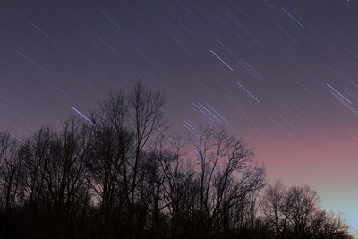 Orion Star Trails_small.jpg