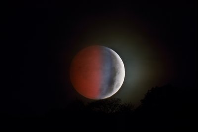 blue eclipse_small.jpg