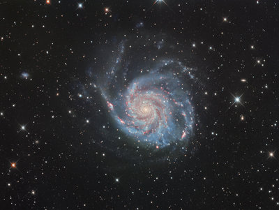 M101_forum_web.jpg