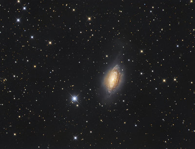 NGC_3521_LRGB_forum.jpg