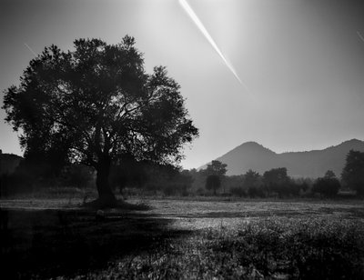 The Moon Entering Earth's Shadow.jpg