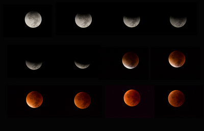 Eclipse-composite small.jpg