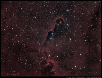 IC1396-HaLRGB_Full_small.jpg