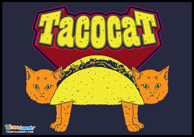 Tacocat.jpg
