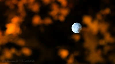 Penumbral Lunar Eclipse in Golden Leaves01_small.jpg