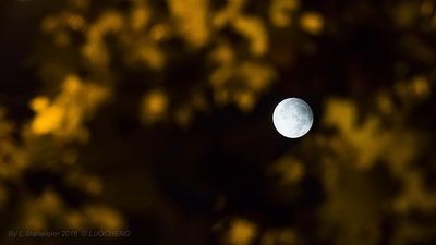 Penumbral Lunar Eclipse in Golden Leaves02_small.jpg