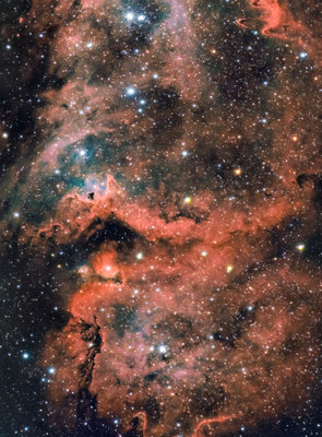IC1848 RGB&SHO.jpg