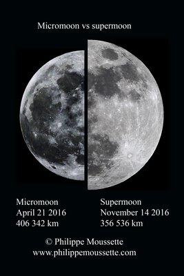 micromoon vs supermoon_small.jpg