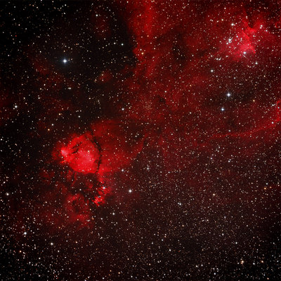 IC 1795-HA+Synth L+RGB-4.jpg