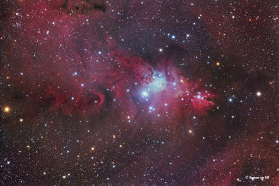 NGC_2264_Jan_02_2017.jpg